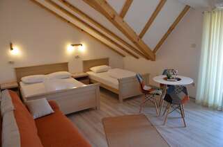 Апартаменты Max Колашин Трехместный номер «Комфорт»-1